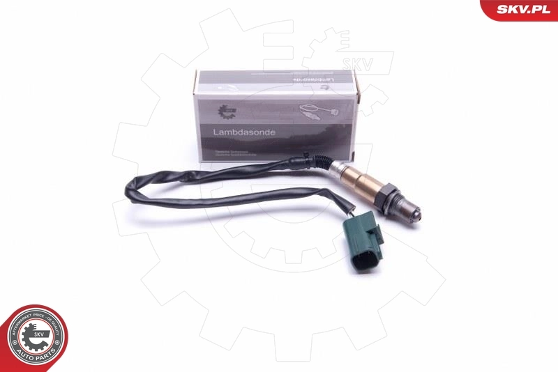 Oxygen Sensor